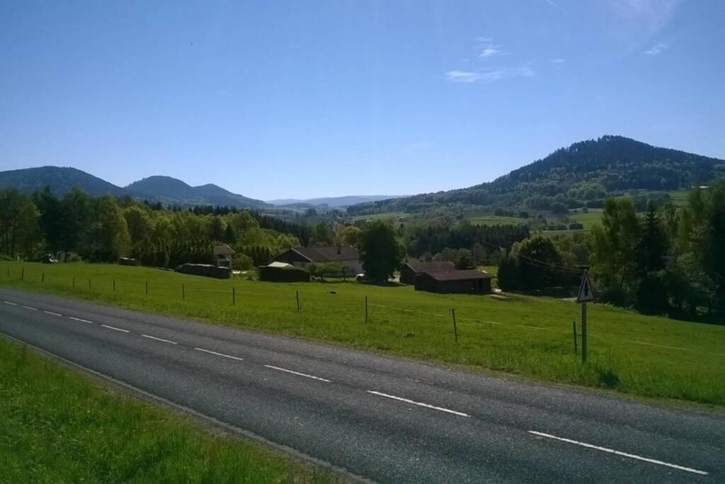 Les Gites De L Etang :Studio A 20 Mn De Gerardmer La Chapelle  Zewnętrze zdjęcie