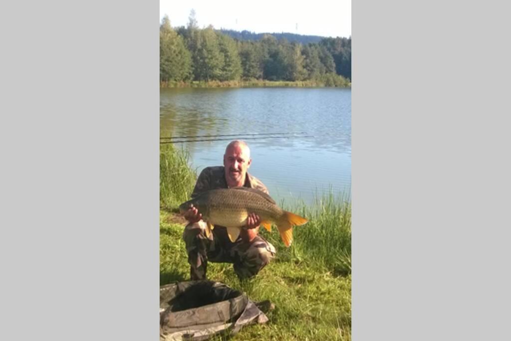 Les Gites De L Etang :Studio A 20 Mn De Gerardmer La Chapelle  Zewnętrze zdjęcie