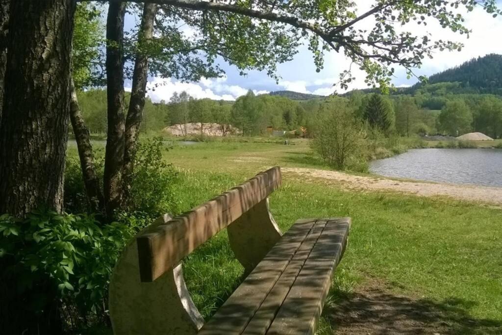Les Gites De L Etang :Studio A 20 Mn De Gerardmer La Chapelle  Zewnętrze zdjęcie