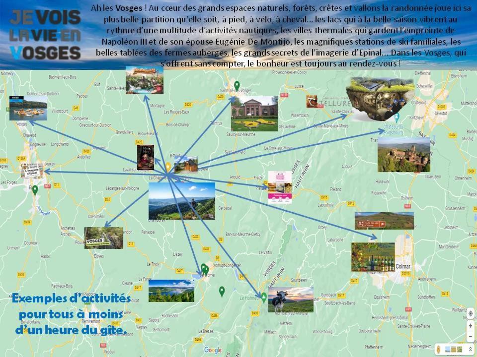 Les Gites De L Etang :Studio A 20 Mn De Gerardmer La Chapelle  Zewnętrze zdjęcie