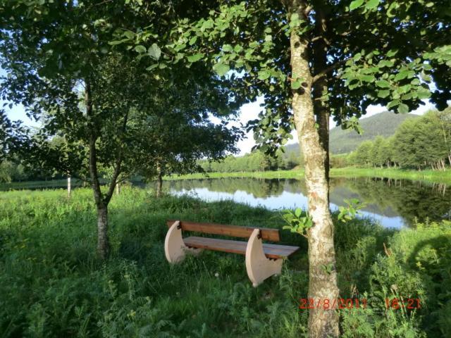 Les Gites De L Etang :Studio A 20 Mn De Gerardmer La Chapelle  Zewnętrze zdjęcie