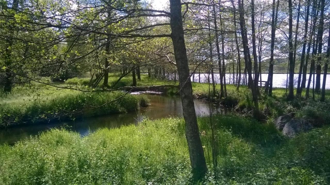 Les Gites De L Etang :Studio A 20 Mn De Gerardmer La Chapelle  Zewnętrze zdjęcie