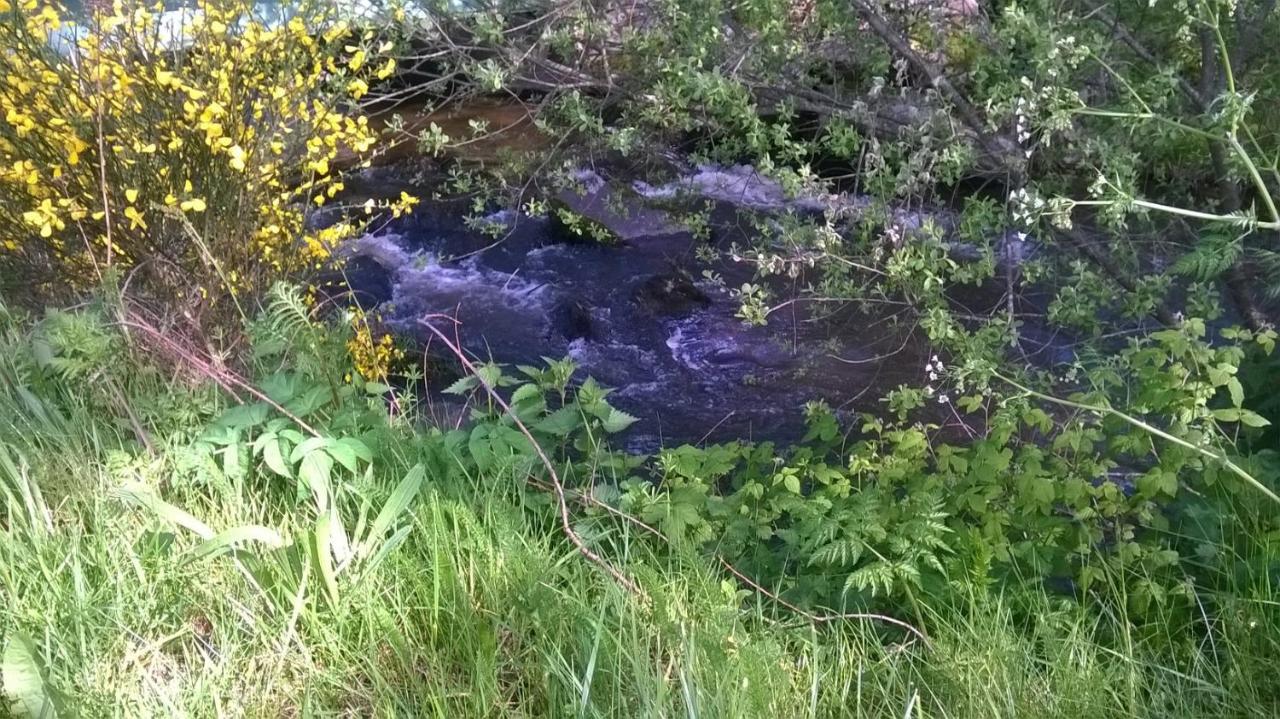 Les Gites De L Etang :Studio A 20 Mn De Gerardmer La Chapelle  Zewnętrze zdjęcie
