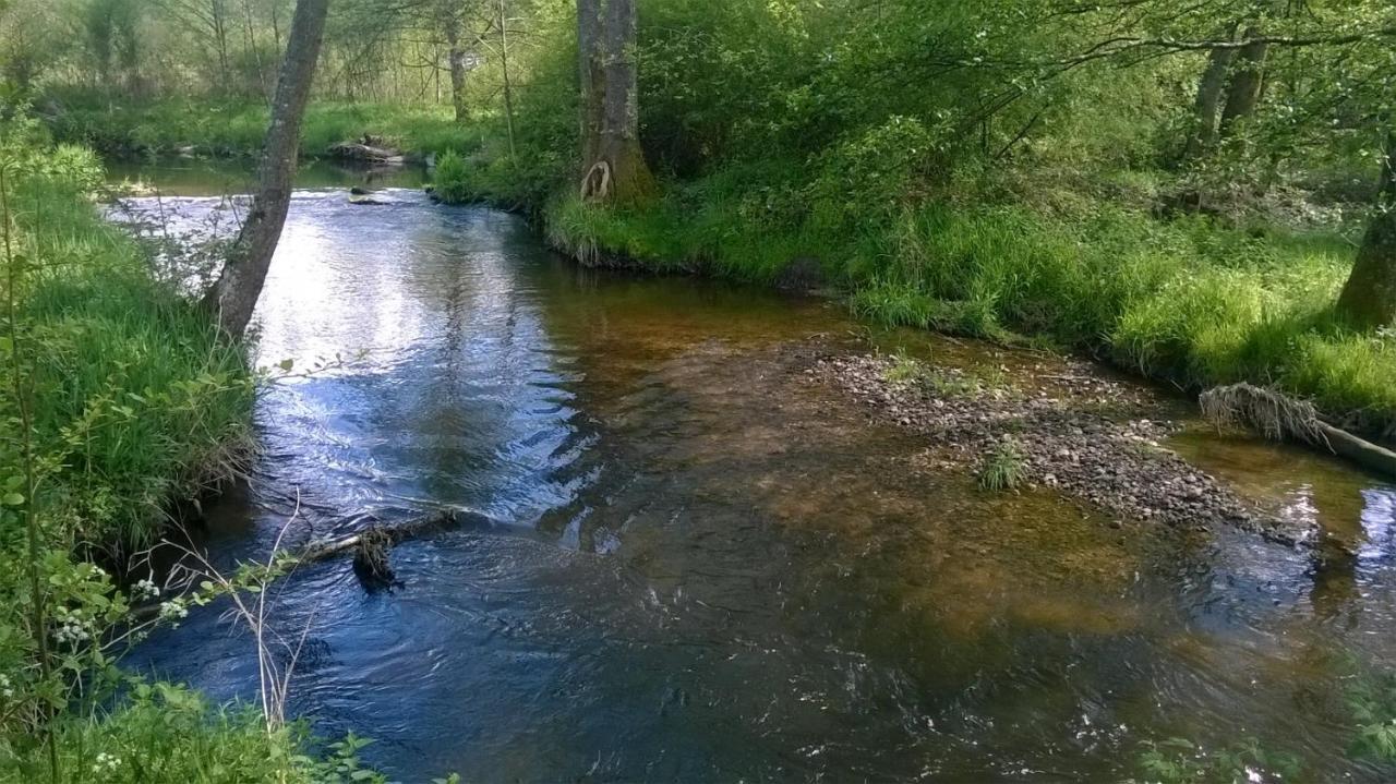 Les Gites De L Etang :Studio A 20 Mn De Gerardmer La Chapelle  Zewnętrze zdjęcie
