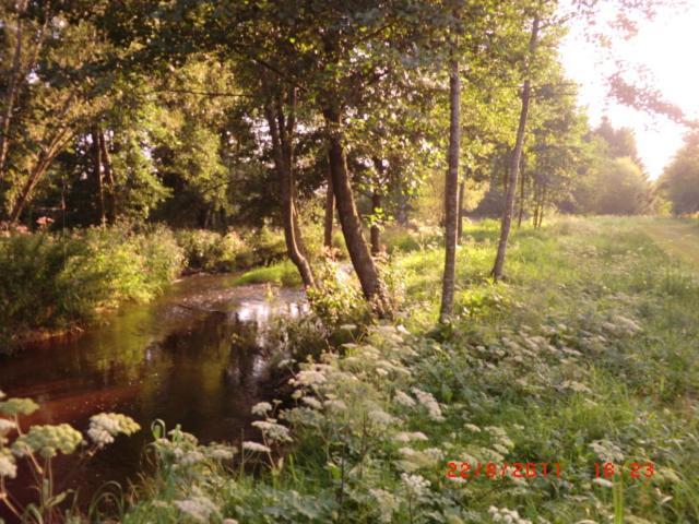 Les Gites De L Etang :Studio A 20 Mn De Gerardmer La Chapelle  Zewnętrze zdjęcie