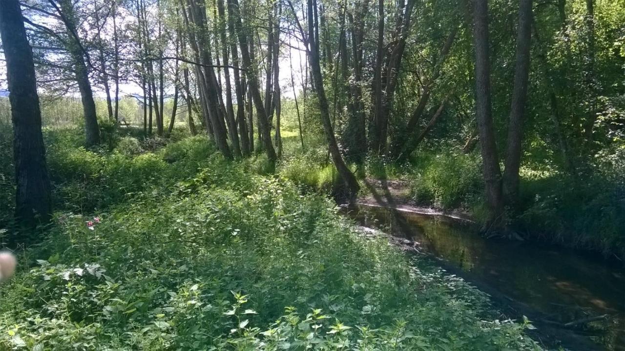 Les Gites De L Etang :Studio A 20 Mn De Gerardmer La Chapelle  Zewnętrze zdjęcie