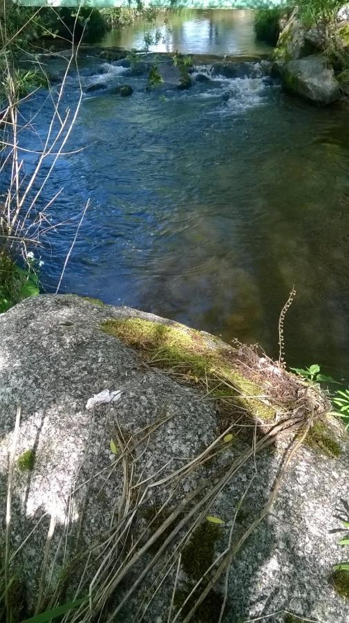 Les Gites De L Etang :Studio A 20 Mn De Gerardmer La Chapelle  Zewnętrze zdjęcie