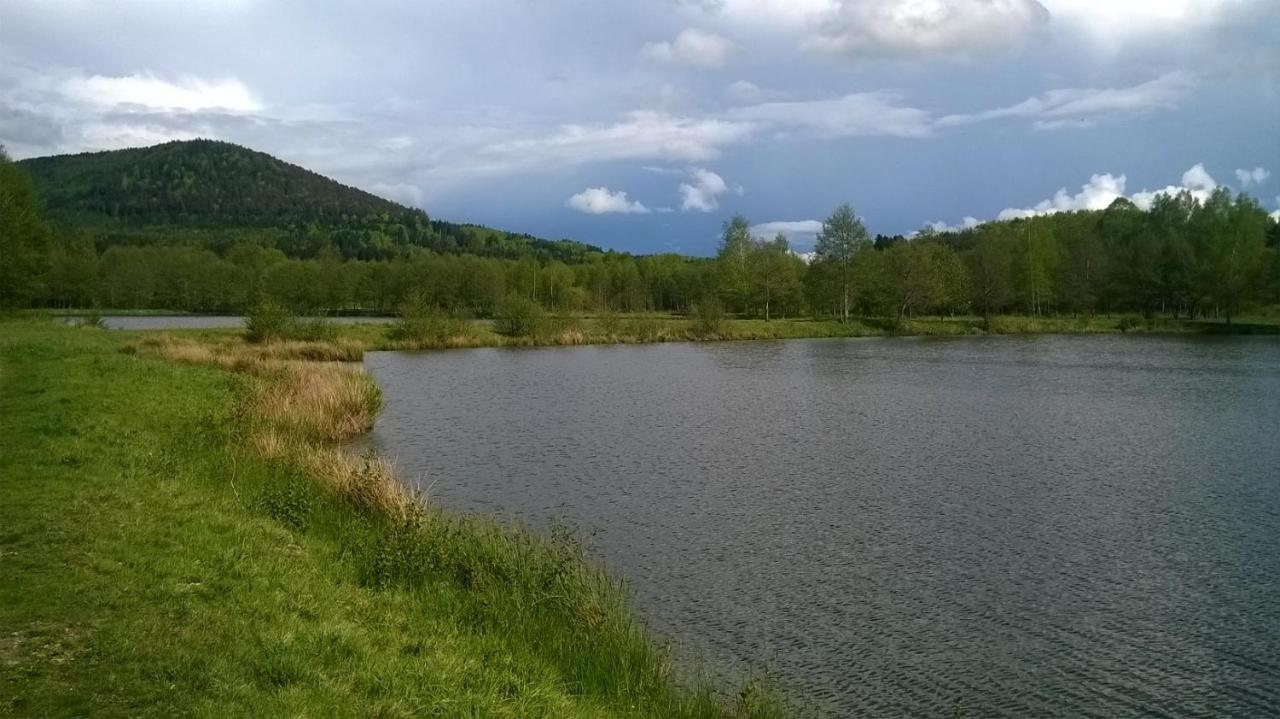 Les Gites De L Etang :Studio A 20 Mn De Gerardmer La Chapelle  Zewnętrze zdjęcie