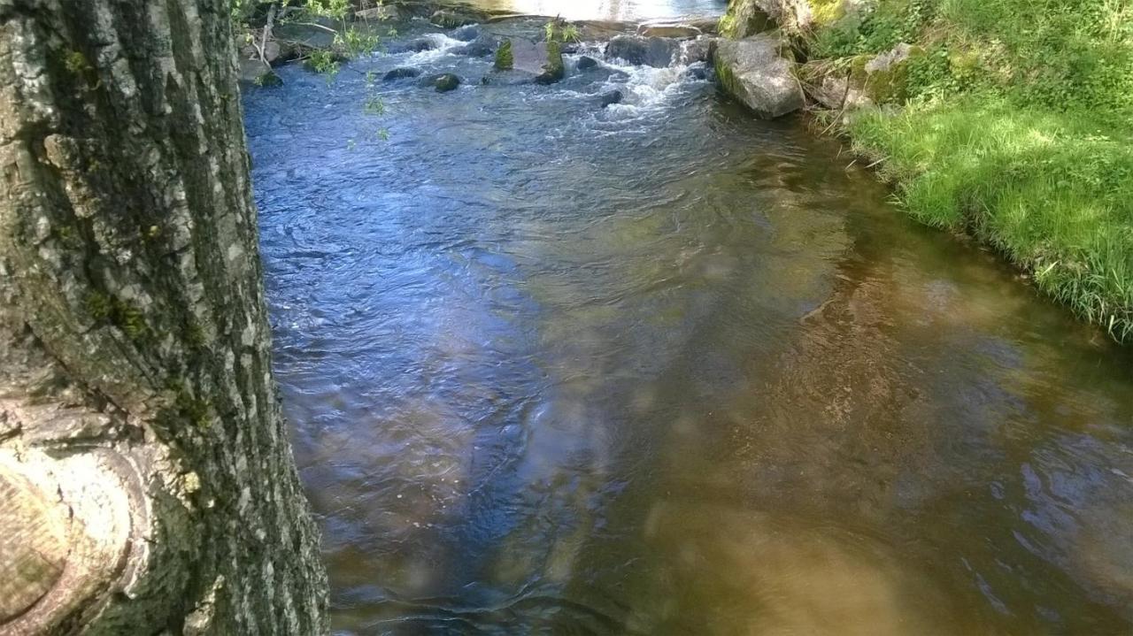 Les Gites De L Etang :Studio A 20 Mn De Gerardmer La Chapelle  Zewnętrze zdjęcie